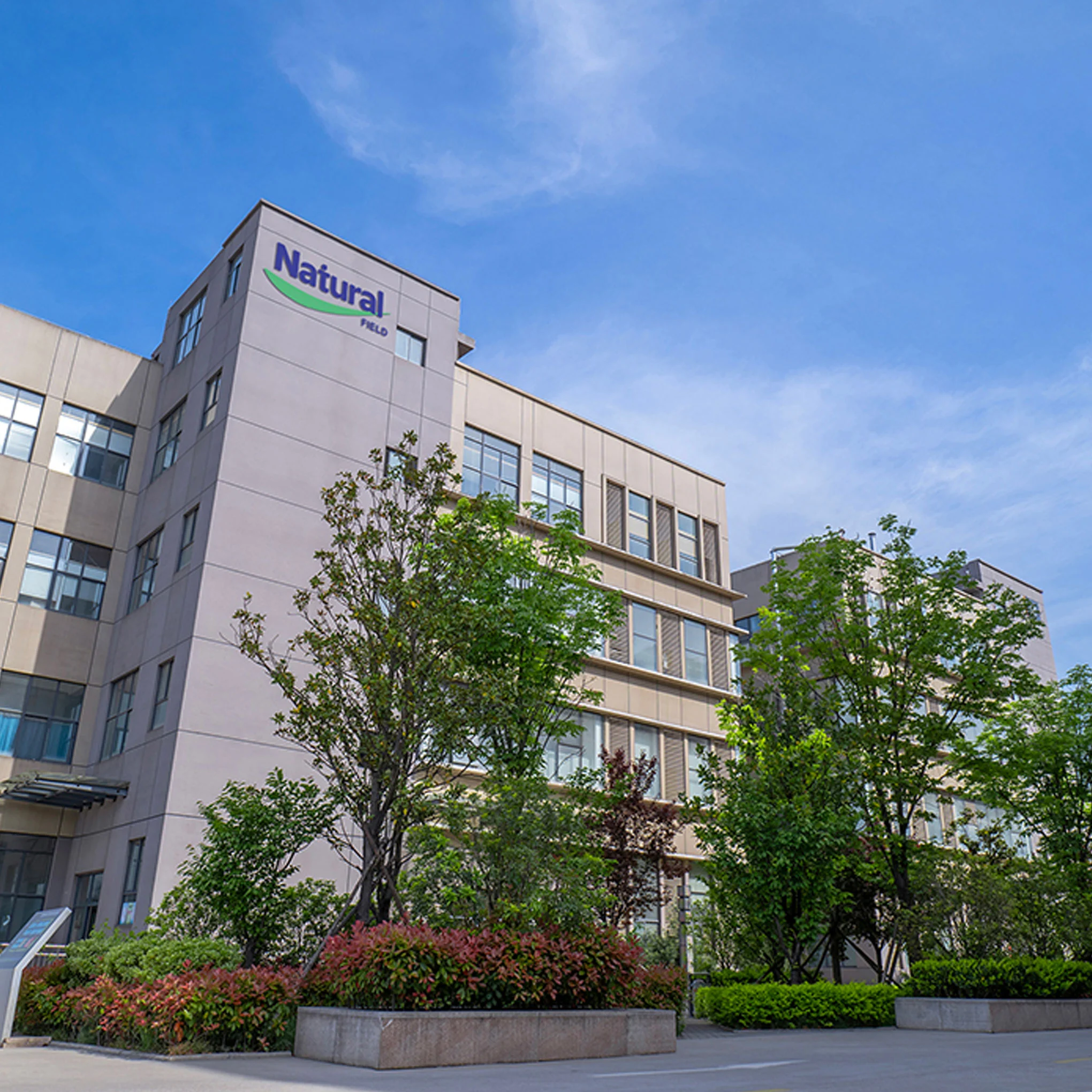 Was macht natürliches Feld anders