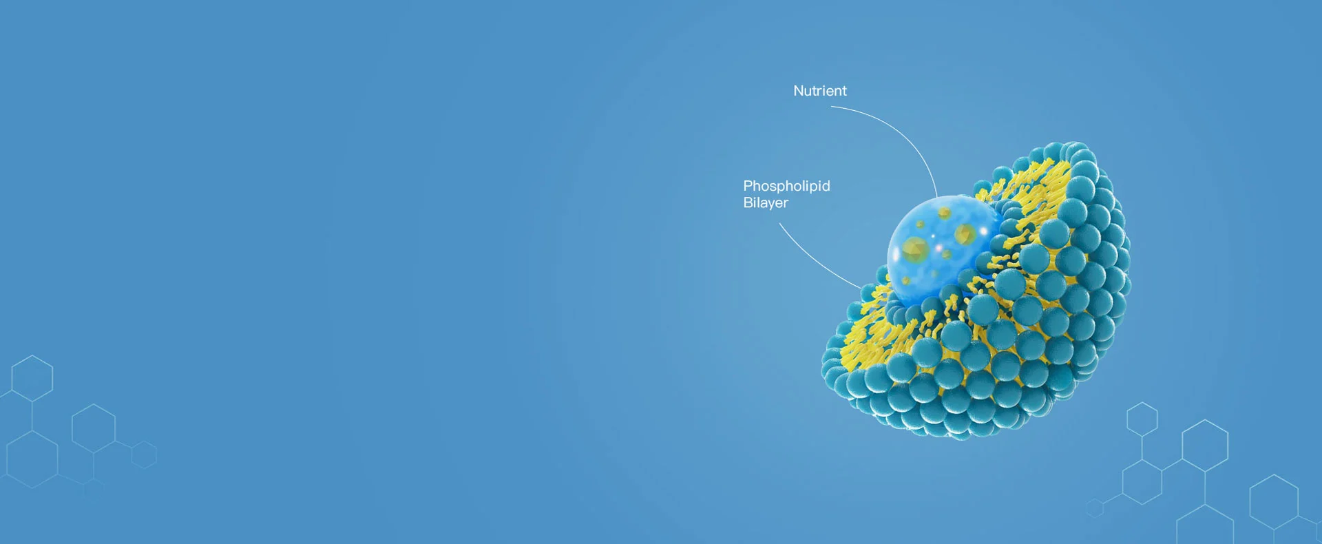 Naturfeld-mit beladene Liposomen-Technologie