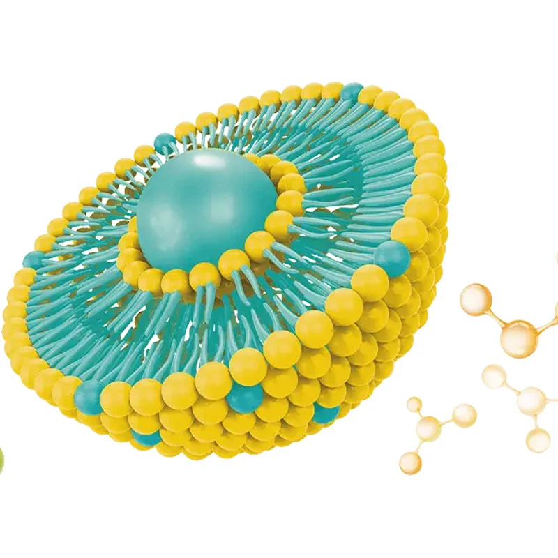 Naturfeld-Kolast-Liposo male Technologie