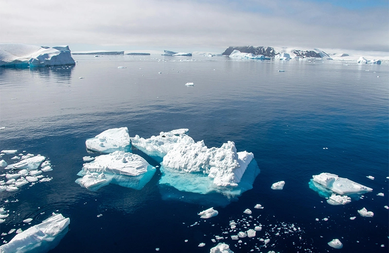 Natur feld Nachhaltig keit