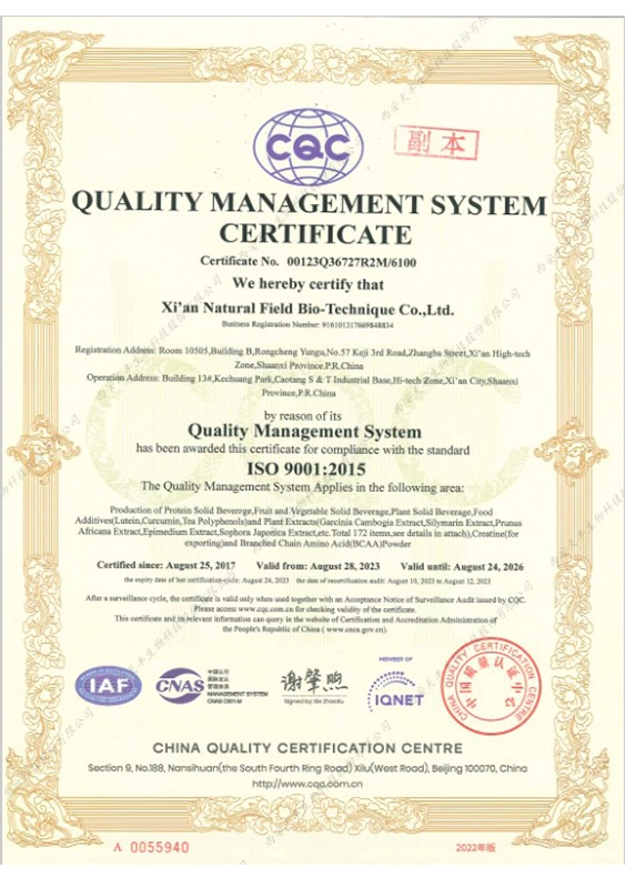iso 9001