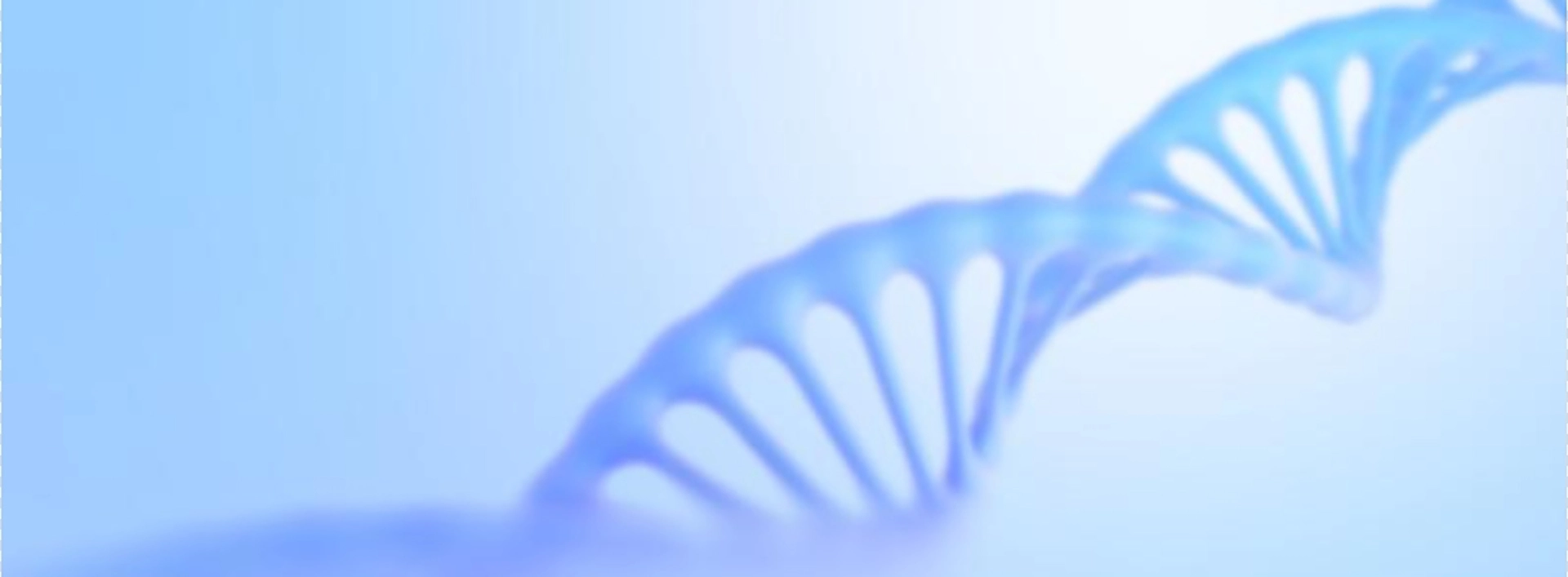 Natürliche Feld ergänzung Zutaten Großhandel