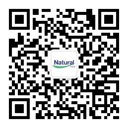 Kontaktieren Sie uns