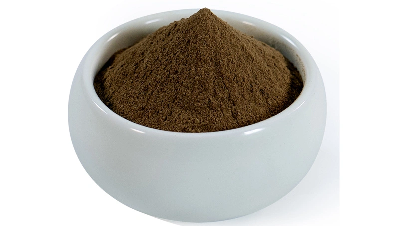 Bacopa Monniera Extrakt