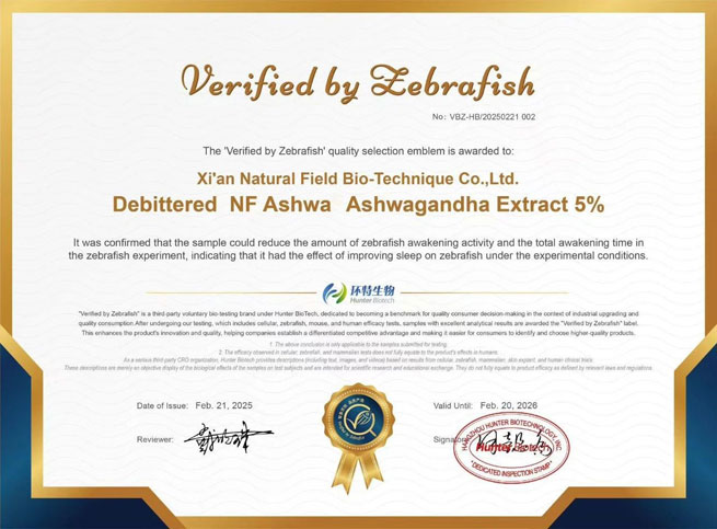 liposomal curosome curcumina 
