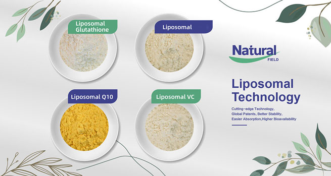 liposomal nad benefits 