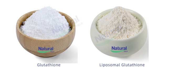 liposome manufacturing