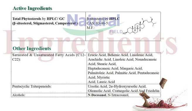 saw palmetto powder bulk