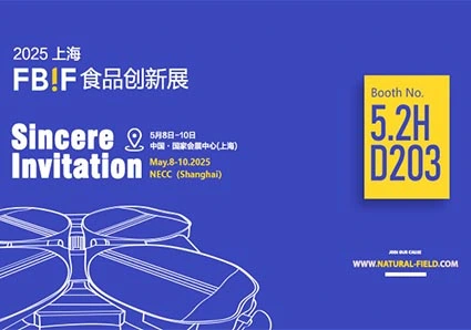 Was sind die Extraktion prozesse für Curcumin?