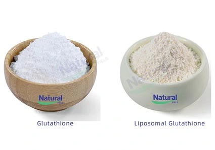 Xi'an Natural-Field Bio-Technique Co., Ltd. Bekanntmachung über National feiertage im Jahr 2024