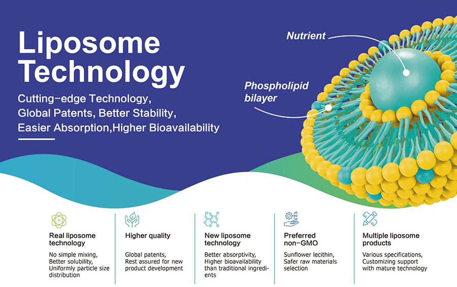 Liposomale Quercetin mit höherer Bio verfügbar keit