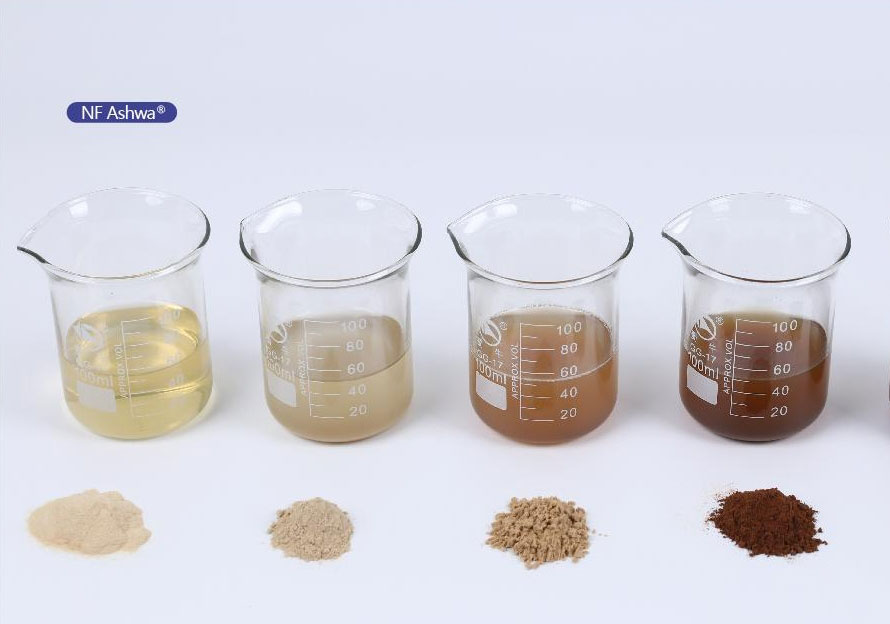 Neue Entdeckung der natürlichen Schlaf hilfe: doppelter Schutz von Magnesium und Ashwagandha, der Ihnen hilft, tiefen Schliff zu genießen