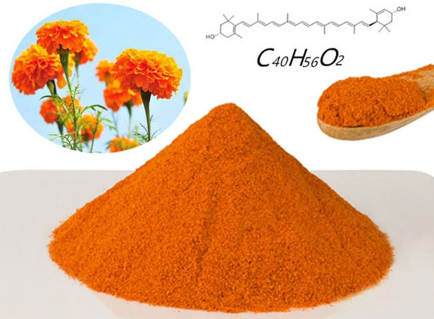 Top 10 heiße gesunde Zutaten auf dem 100-Milliarden-Augenpflegemarkt vor geschlagen