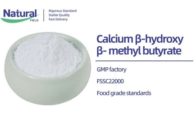 Was sind die Funktionen und Anwendungs bereiche von Calcium-β-Hydroxy methyl butyrat (CaHMB)