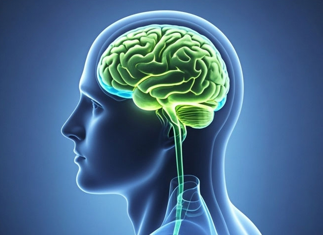 Cytosin-Zwischen rohstoffe: der Eckpfeiler der pharmazeut ischen Innovation und die treibende Kraft für ein gesundes