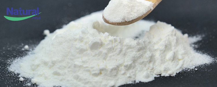 Natur feld-Popular wissenschaft des Vitamin K2-Wissens