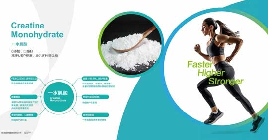 Beliebte Sporte rnährung Ergänzung Zutaten empfohlen im Jahr 2025