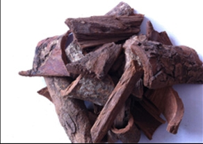 Die wundersame Anwendung von afrikanischem Pflaumen extrakt im Bereich der Gesundheit