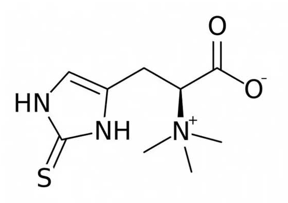 Swisse L-Ergothioneine und Natur feld L-Ergothioneine