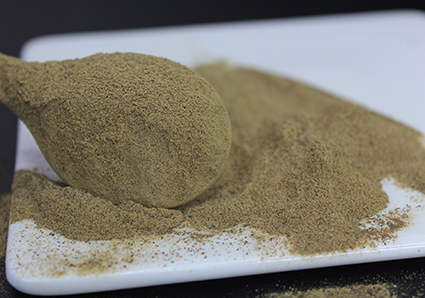 Bacopa monnieri Extrakt-Vorteile und Nebenwirkungen