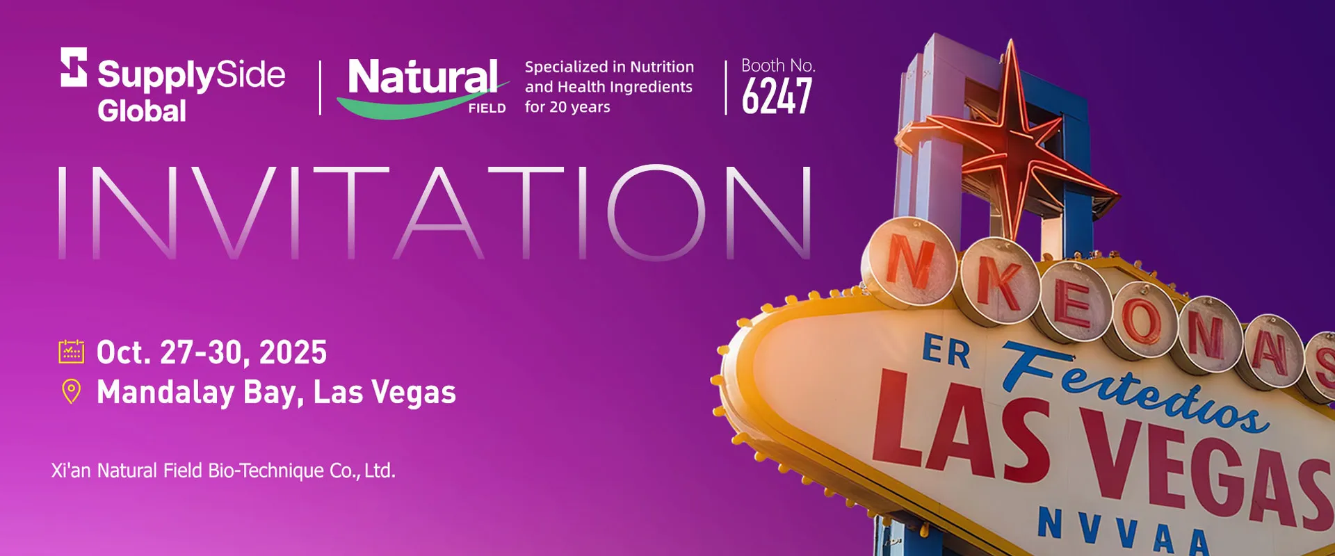 Angebots seite Global 2025