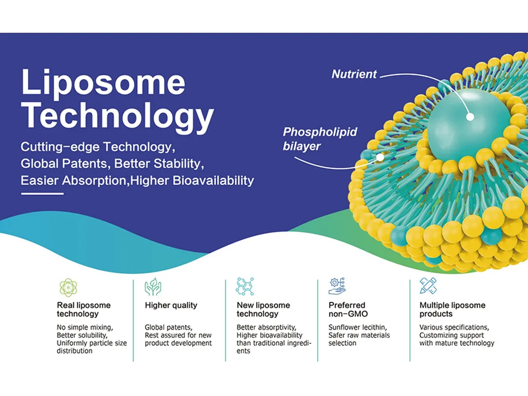 Der Aufstieg des Liposomen-Ernährungs marktes! Die Revolution der Absorptions rate verändert die globale Gesundheits landschaft