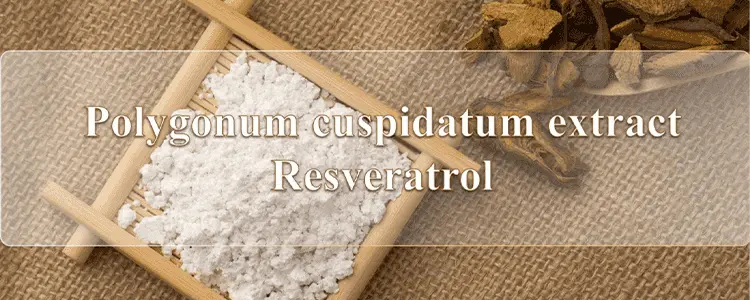 Resveratrol3_banner.webp