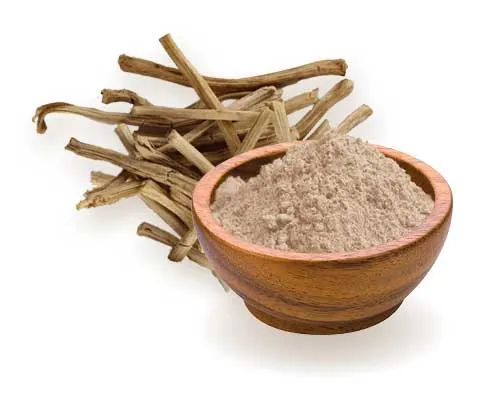 Warum Shatavari auf dem Gesundheits markt Aufmerksamkeit erlangt