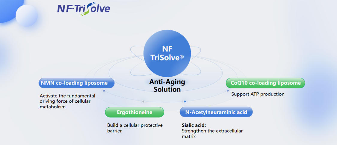 NF TriSolve® Anti-Aging Solution.jpg NF TriSolve® Anti-Aging Solution.jpg